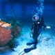 Illustration for article titled There Is No Such Thing as Normal When You Live at the Bottom of the Sea